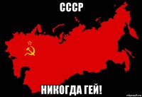 ссср никогда гей!