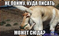 не пойму, куда писать может сюда?