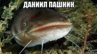 даниил пашнин 