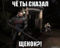 чё ты сказал щенок?!