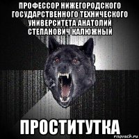 профессор нижегородского государственного технического университета анатолий степанович калюжный проститутка