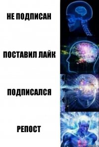 Не подписан Поставил лайк Подписался Репост