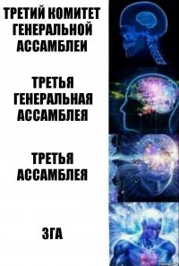 Третий комитет Генеральной Ассамблеи Третья Генеральная Ассамблея Третья ассамблея Зга