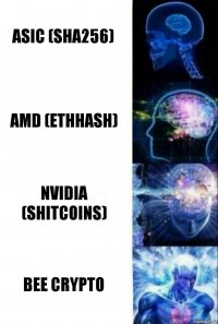 Asic (sha256) amd (ethhash) nvidia (shitcoins) Bee Crypto