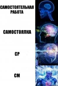 Самостоятельная работа Самостоялка Ср См