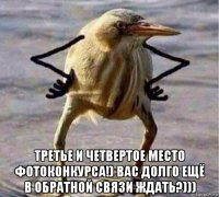  третье и четвертое место фотоконкурса!) вас долго ещё в обратной связи ждать?)))