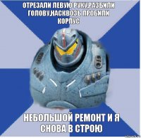 Отрезали левую руку,разбили голову,насквозь пробили корпус небольшой ремонт и я снова в строю