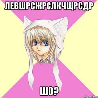 левшрсжрслкчщрсдр шо?
