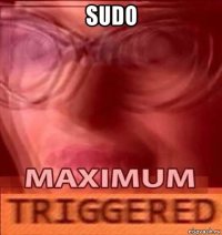 sudo 