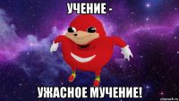 учение - ужасное мучение!