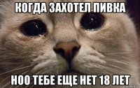 когда захотел пивка ноо тебе еще нет 18 лет