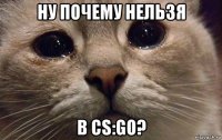 ну почему нельзя в cs:go?