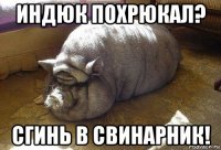 индюк похрюкал? сгинь в свинарник!