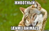 животный [ænml] animals