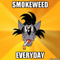 smokeweed everyday