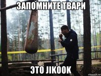 запомните твари это jikook