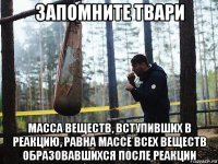 запомните твари масса веществ, вступивших в реакцию, равна массе всех веществ образовавшихся после реакции