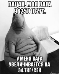 пацан, моя вага 962581027т. у меня вага увеличивается на 34.7кг/сек