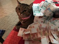 111