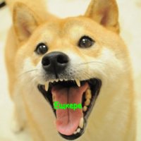 Doge  ещкере