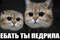 ЕБАТЬ ТЫ Л0Х