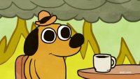 Everything is fine