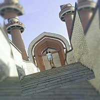 Фелиция харди  бежит от Человека паука