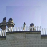 Фелиция Харди великолепна