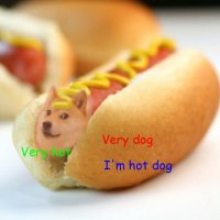 Горячий доге