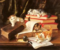 Книги и котики