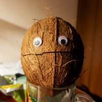 Кокос Игорь