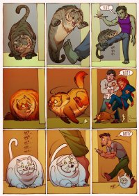Кот Кот Кот