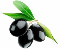 Маслины