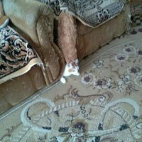 Мем я застрял