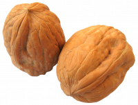 Орешки