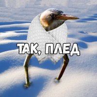 ТАК ПЛЕД