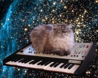 Techno cat