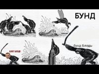 Всеобщий БУНТ