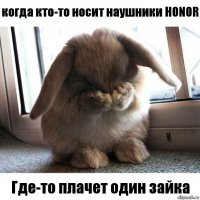 когда кто-то носит наушники HONOR Где-то плачет один зайка