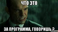 что это за программа, говоришь ?