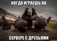 когда играешь на сервере с друзьями