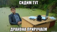 сидим тут дракона приручаем