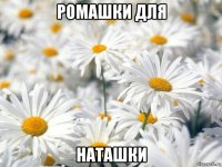 ромашки для наташки