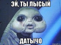 эй, ты лысый датычо