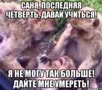 саня, последняя четверть, давай учиться! я не могу так больше! дайте мне умереть!