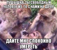 пушышка, ты свободный человек же, го с нами на дачу! дайте мне спокойно умереть