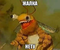 жалка нету