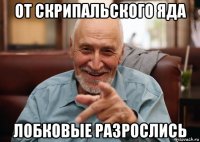 от скрипальского яда лобковые разрослись