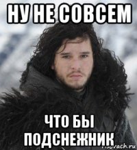 ну не совсем что бы подснежник