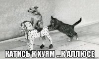  катись к хуям ...к аллюсе